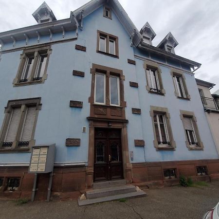 Colmar Centre Ville 6 Couchages 3 Grandes Chambres المظهر الخارجي الصورة